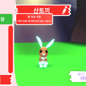 입양하세요 펫 네온 산토끼 판매합니다 이미지