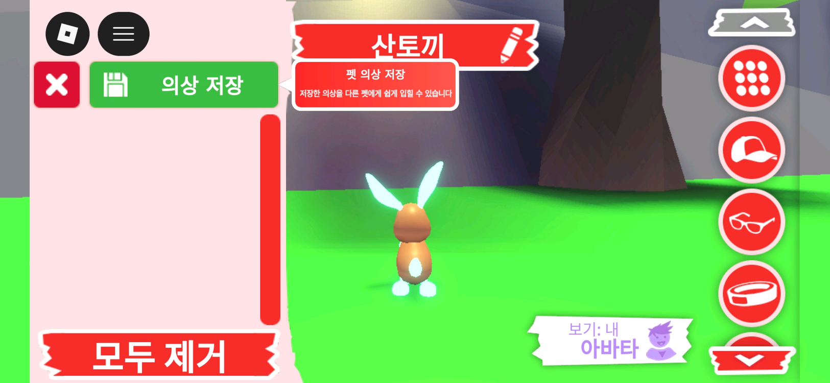 입양하세요 펫 네온 산토끼 판매합니다 이미지