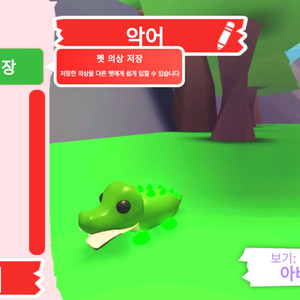 입양하세요 펫 네온 악어 판매합니다 이미지