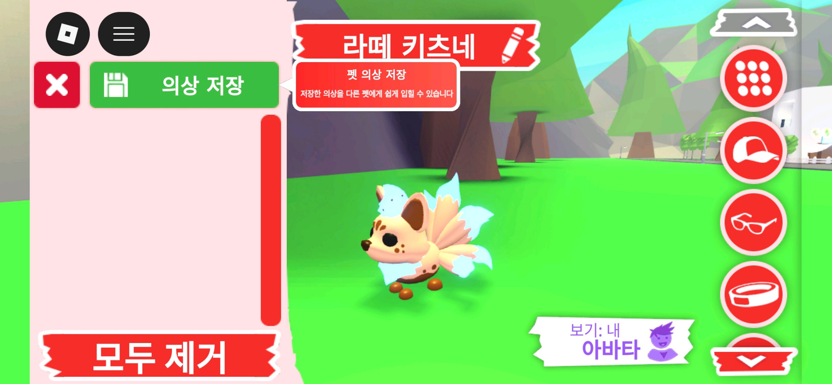 입양하세요 펫 네온 라떼 키츠네 판매합니다 이미지