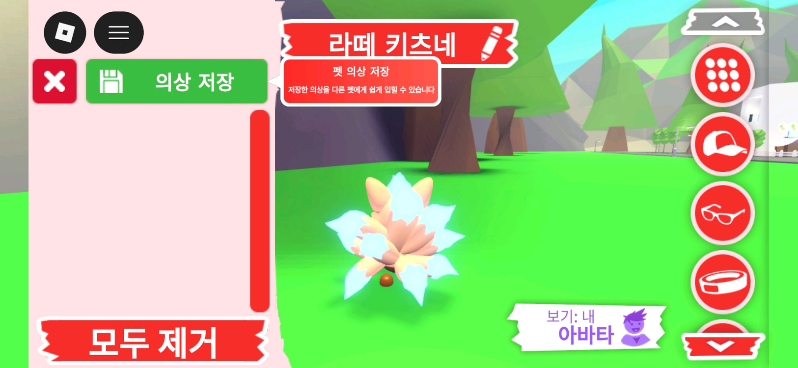 입양하세요 펫 네온 라떼 키츠네 판매합니다 이미지