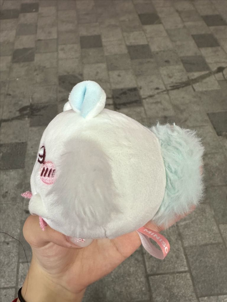 벚꽃 모몽가 이미지