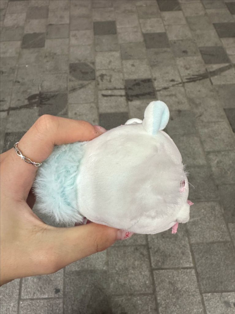 벚꽃 모몽가 이미지