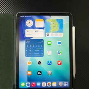 애플 아이패드 에어4 블루 64GB 이미지