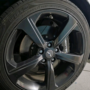 네오테크4p 355mm 순정대품조건 이미지