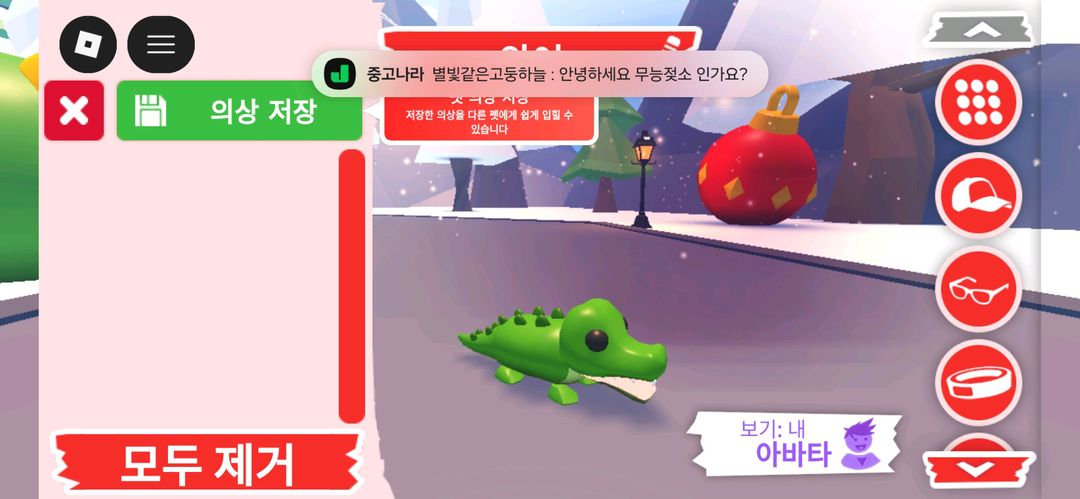 입양하세요 펫 악어 판매합니다 이미지