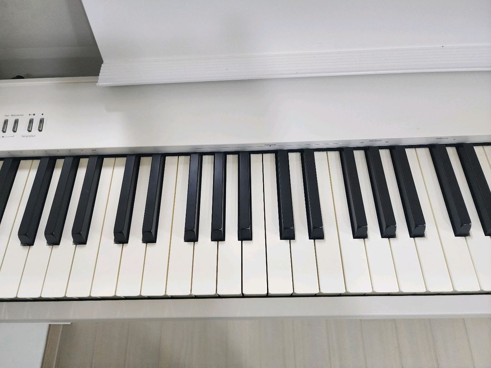 롤랜드 FP30x 디지털피아노 팝니다. 이미지