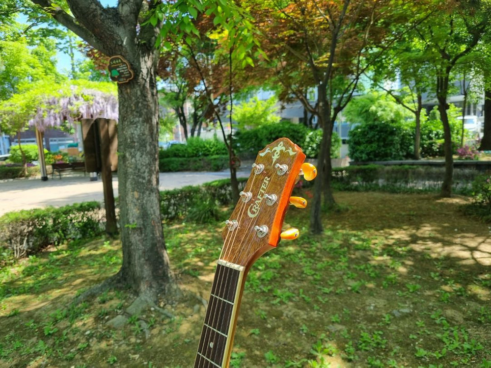 한국산 크래프터 탑솔리드 기타 KD-10 통기타 이미지