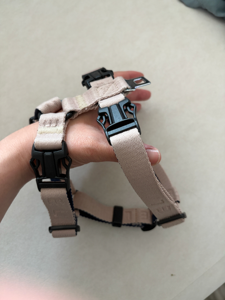 스펠 강아지 h형 하네스와 2m리드줄 세트 이미지