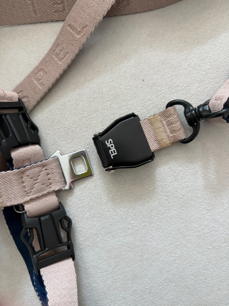 스펠 강아지 h형 하네스와 2m리드줄 세트 이미지