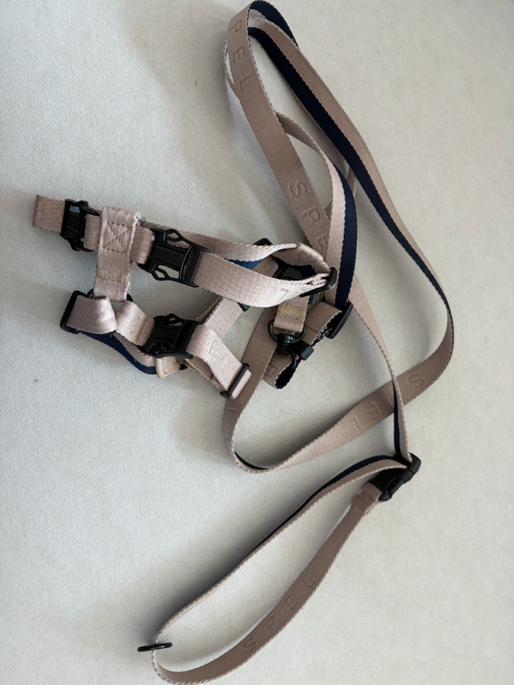 스펠 강아지 h형 하네스와 2m리드줄 세트 이미지