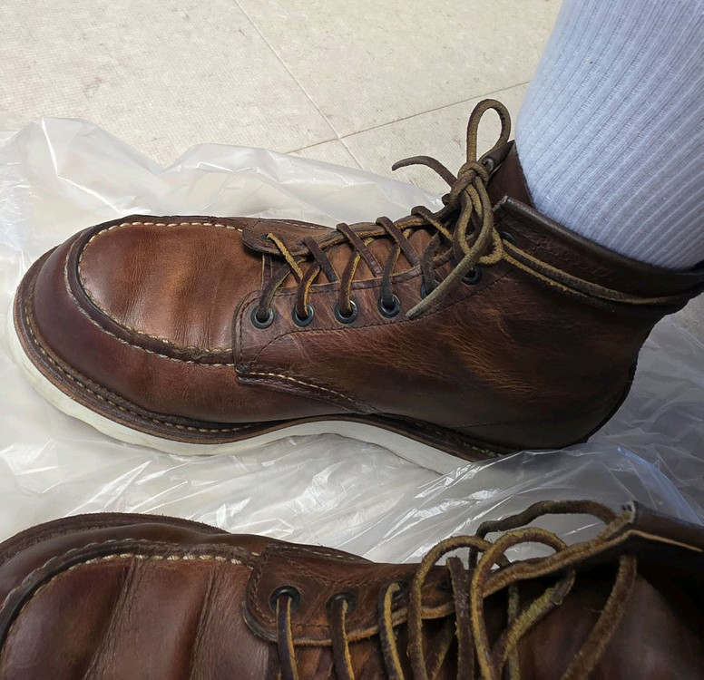 레드윙 1907 9.5D 사이즈 판매합니다 이미지