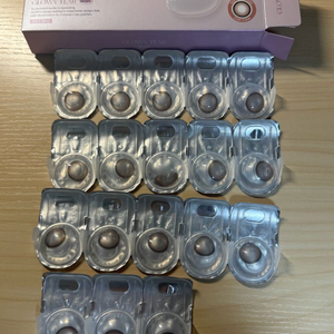 글로이티어 브라운 원데이 이미지