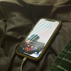 아이폰 XS 256 온전히 사진용 팝니다. (수리용) 이미지