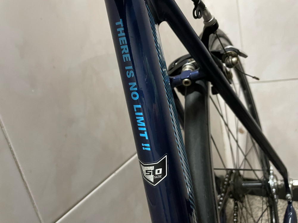 카본 픽시 무게 8.9kg 자전거 510 사이즈 (25만원) 이미지