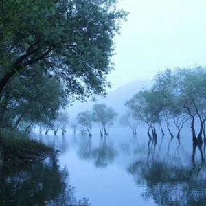 한게임 포커 섯다 판/매입 이미지