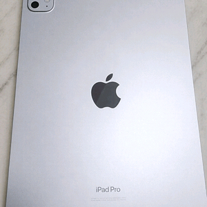 아이패드 프로 11 m4 256 wifi 이미지