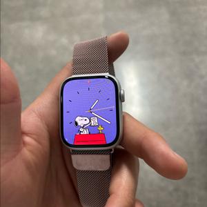 애플워치 시리즈9 45mm 실버 이미지