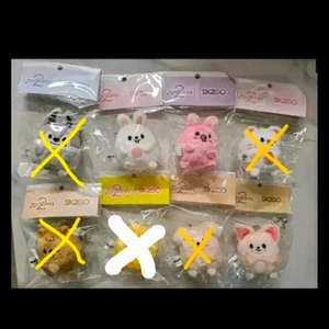 스트레이키즈 스키즈 스키주 주토피아 팝업 이미지