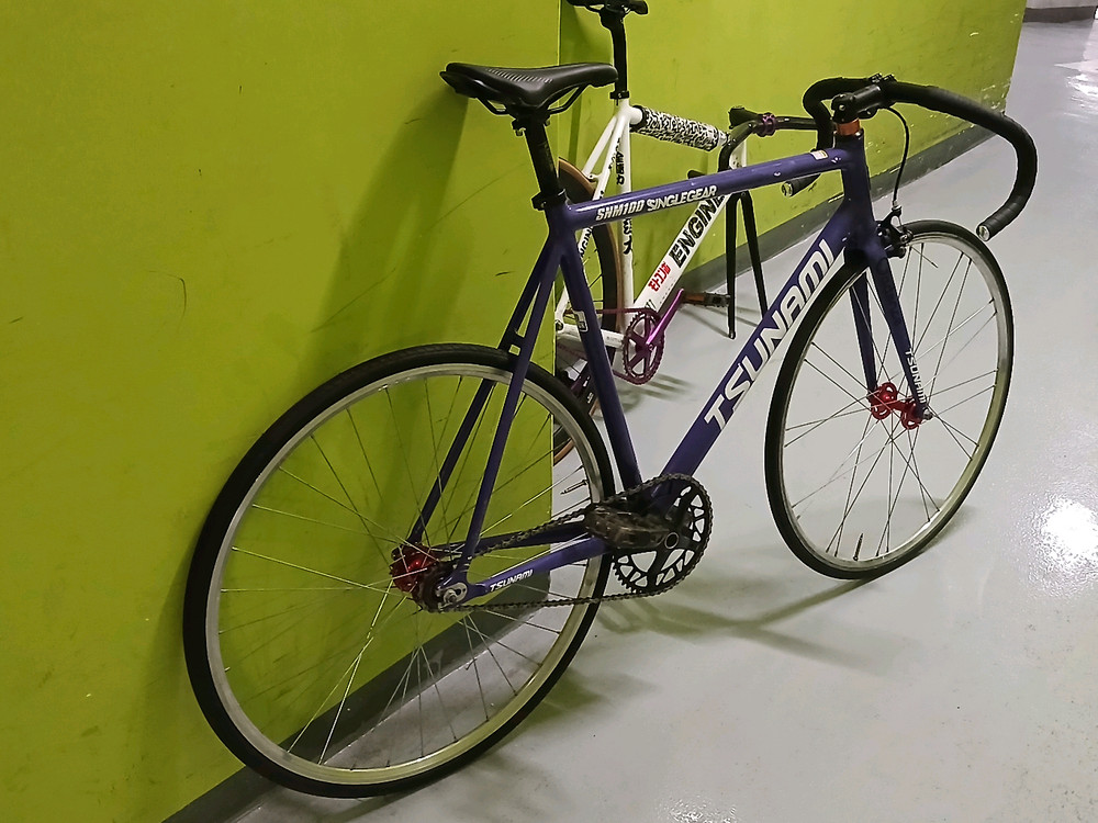 쓰나미 픽시 자전거 현상금 이미지