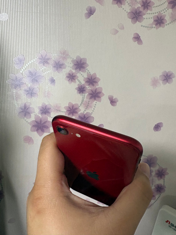 아이폰 SE3 256GB 레드 (가격인하 예정, 관심시 찜) 이미지