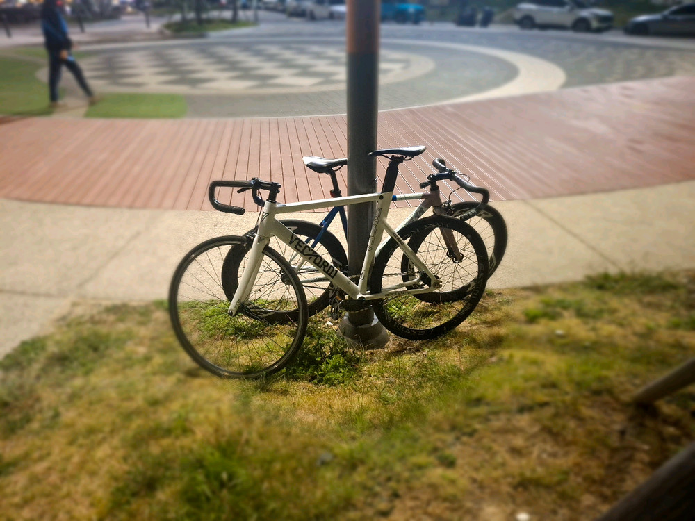 벡터 피스타 픽시 대차 봅니다 이미지