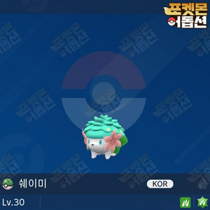 이로치 쉐이미 / 포켓몬스터 / 닌텐도 스위치 이미지