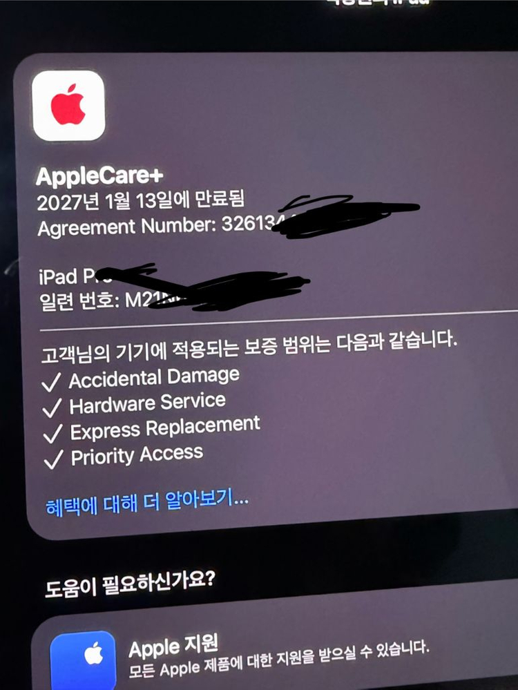 아이패드 프로 m4 13 + 애플펜슬 프로 + 애케플 이미지