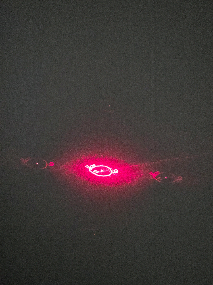 LG 레이저 체인지 5 IN 1 . 11개 팝니다. 써비스 2개 이미지