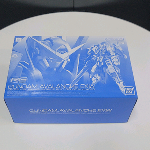 RG 아발란체 엑시아 대시 팝니다! 이미지