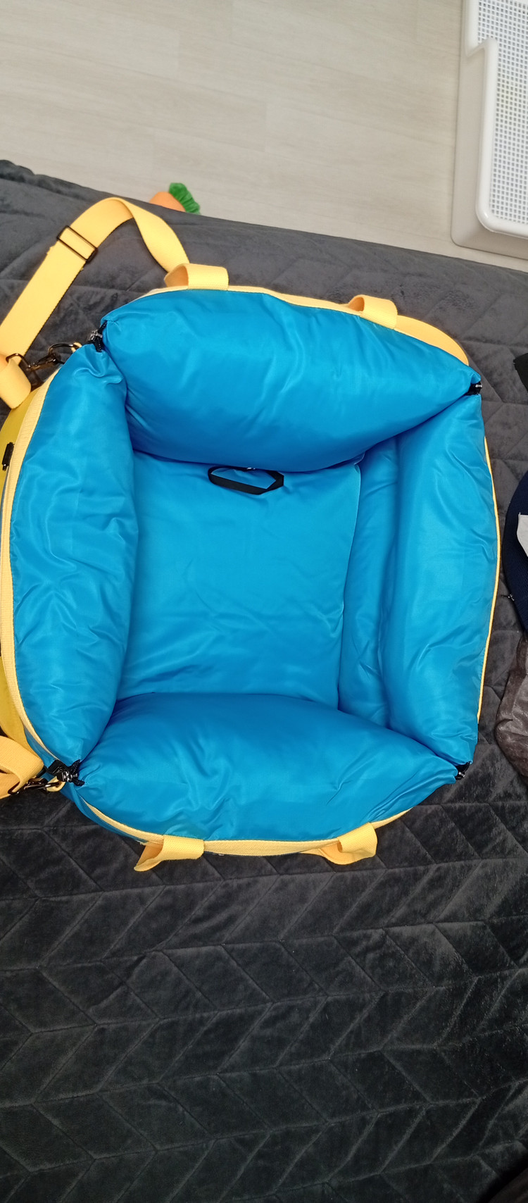 엔티피 이지무브 강아지 이싸이클 카시트M 판매 합니다 이미지