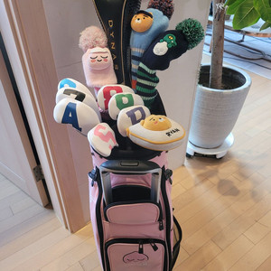 여성 고반발 에스야드와 야마하,카카오캐디백등 풀세트 판매해요 이미지