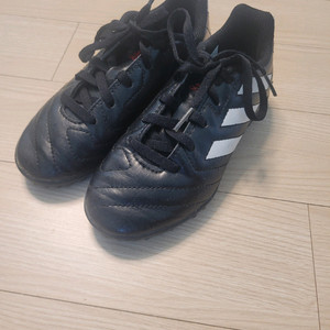 아디다스 코파 키즈 축구화 180 사이즈 이미지