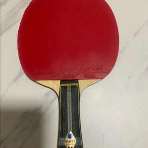 장지커ALC, 엑시옴 정영식 아이스크림AZX 탁구라켓 이미지