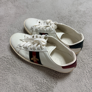 구찌 스니커즈 팝니다 사이즈36 이미지