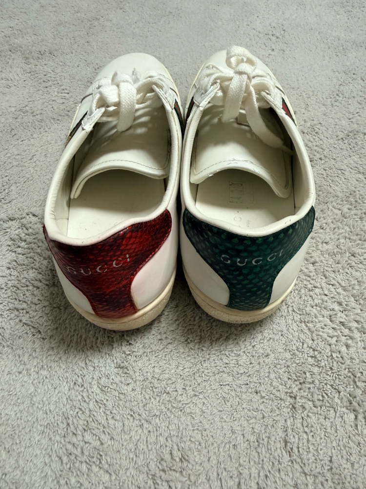 구찌 스니커즈 팝니다 사이즈36 이미지