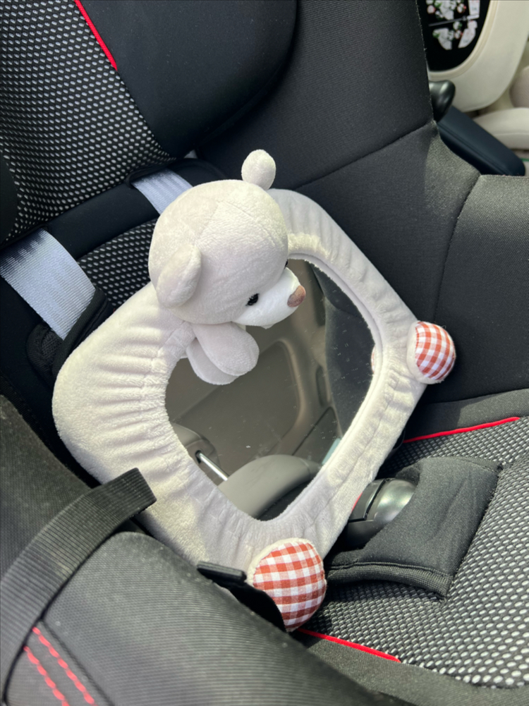 브라이텍스 듀얼픽스 아이사이즈(신생아시트+안전거울) 이미지