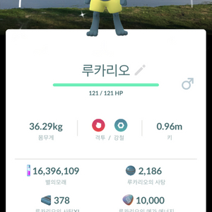 포켓몬고 대만&la 로케로치 루카리오 판매합니다(가격인하) 이미지