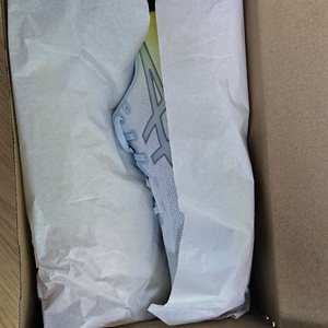 새상품 노바블라스트5 써니시즐 295 공홈제품 이미지