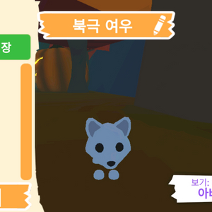 입양하세요 펫 북극 여우 (북여) 판매합니다 이미지