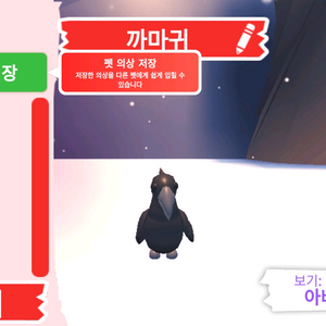 입양하세요 펫 까마귀(까막)판매 합니다 이미지