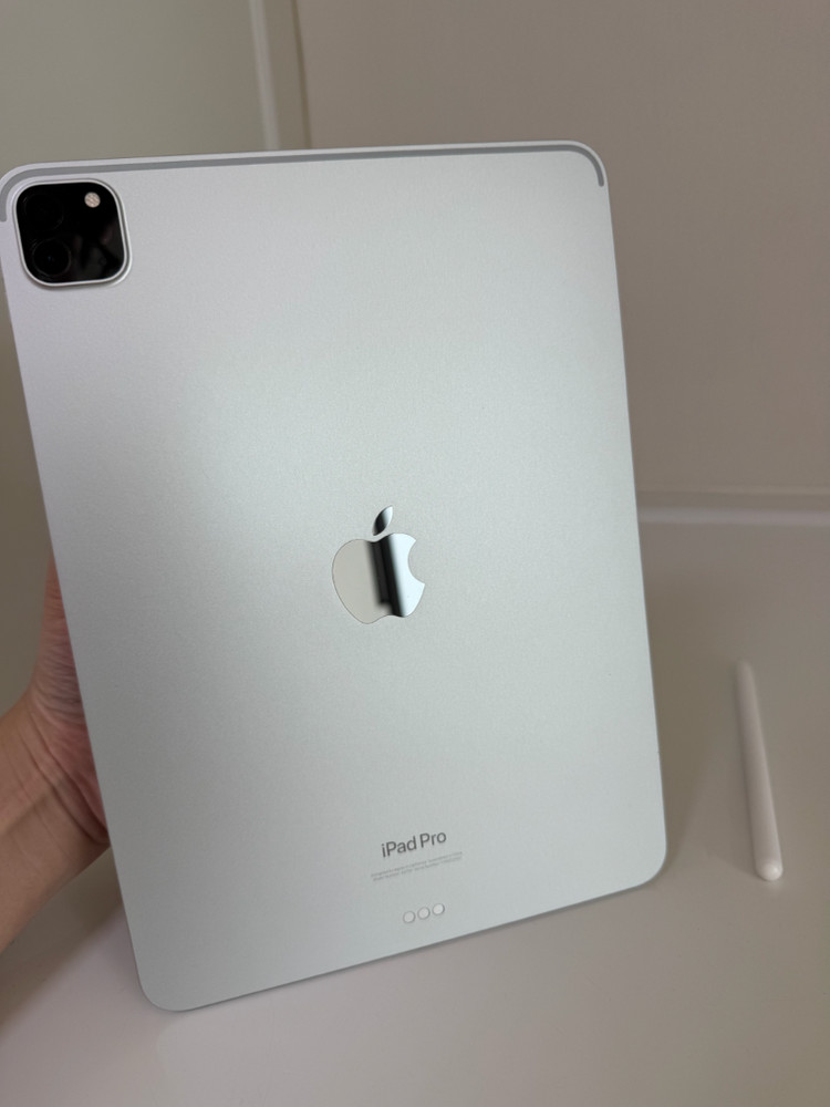 아이패드 프로11 4세대 M2 실버 + 애플펜슬 2세대 이미지