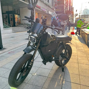 [S급풀옵션] 엑스라이더 X200 전기자전거 (슈퍼73 프로 PRO 터보 맥스 X200S X) 이미지