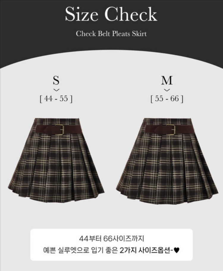 체크 플리츠 스커트 이미지