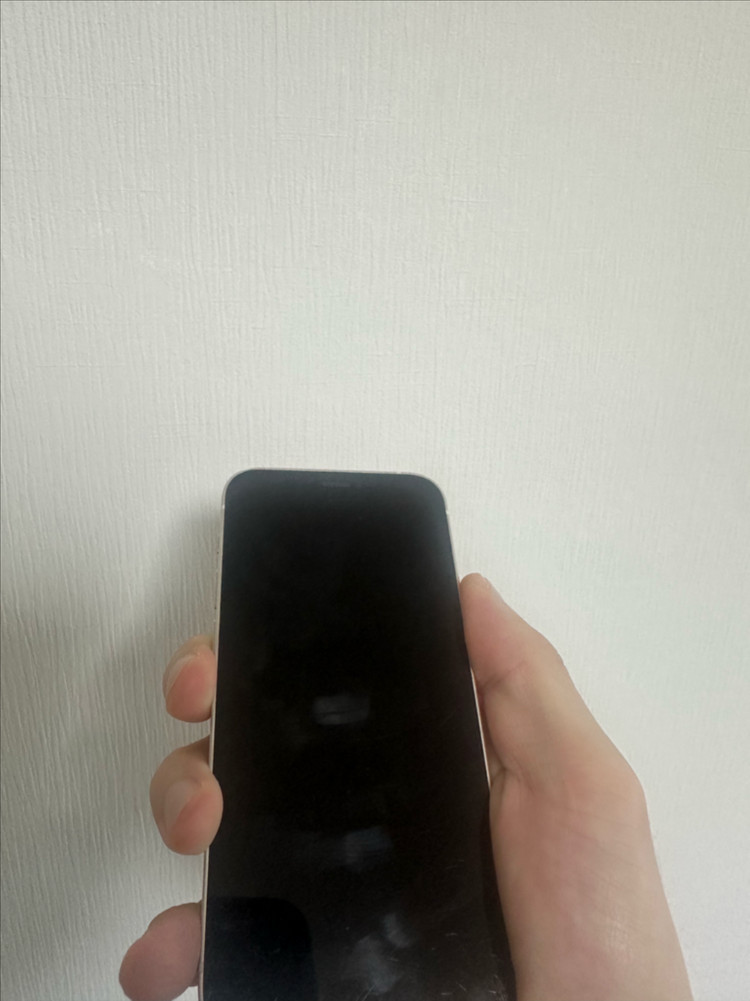 아이폰 12미니 이미지