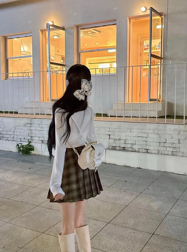 체크 플리츠 스커트 이미지