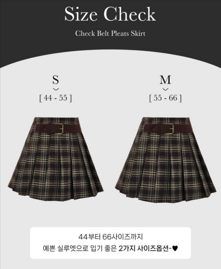 체크 플리츠 스커트 이미지
