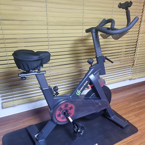 한국 암웨이(주) 25 CENT RIDE BIKE (라이드 바이크) 실내자전거 이미지