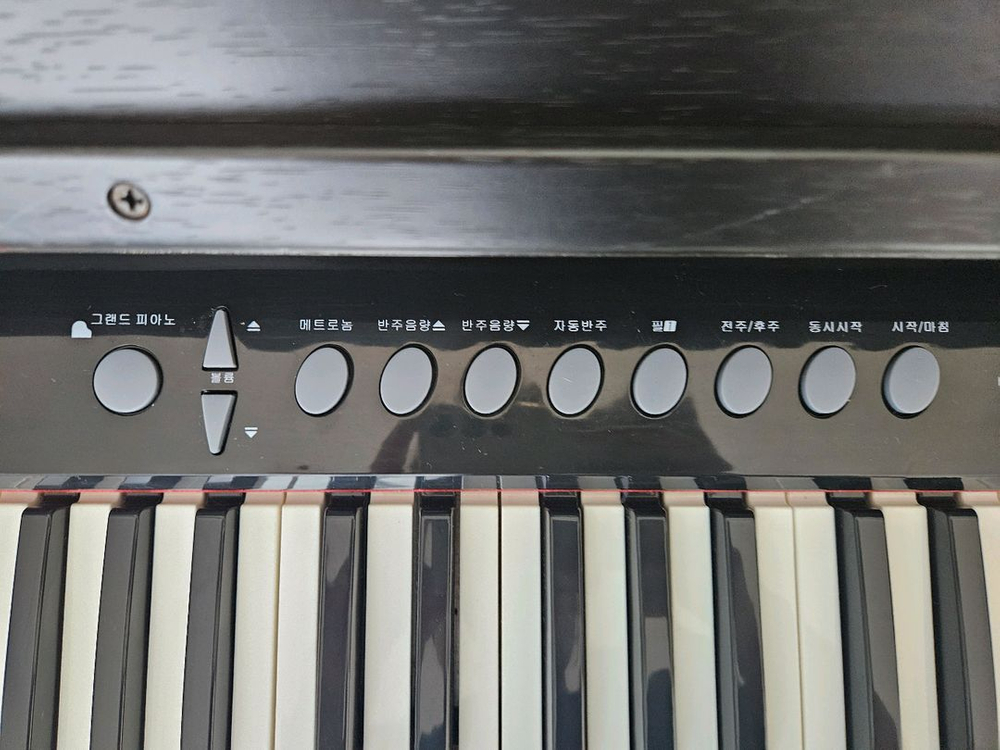 디지털 피아노 Audis 350a pro 이미지