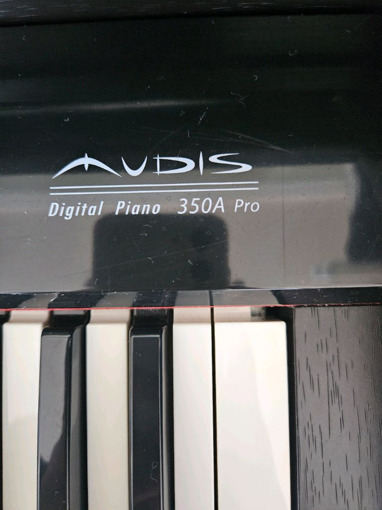 디지털 피아노 Audis 350a pro 이미지